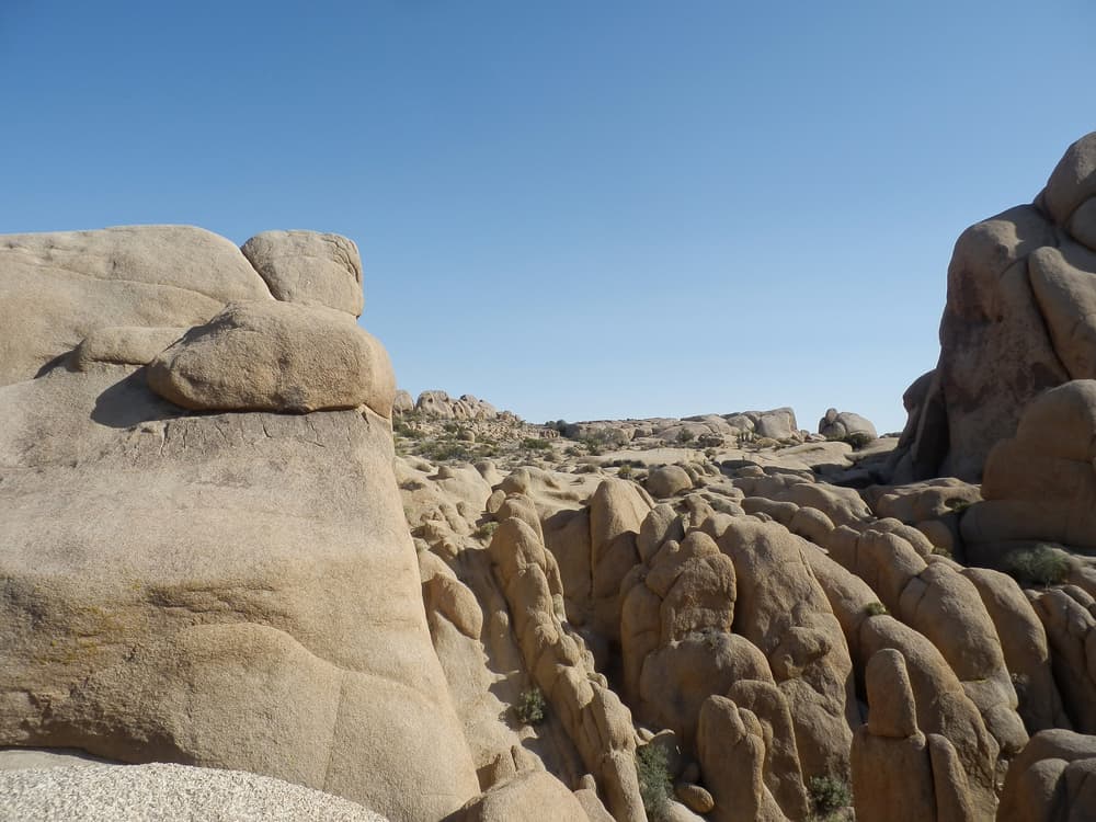 Palm Springs & Joshua Tree