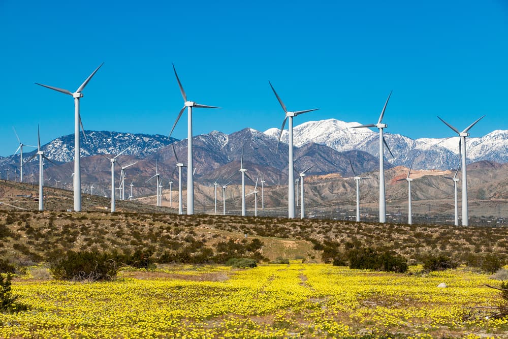 Palm Springs & Joshua Tree