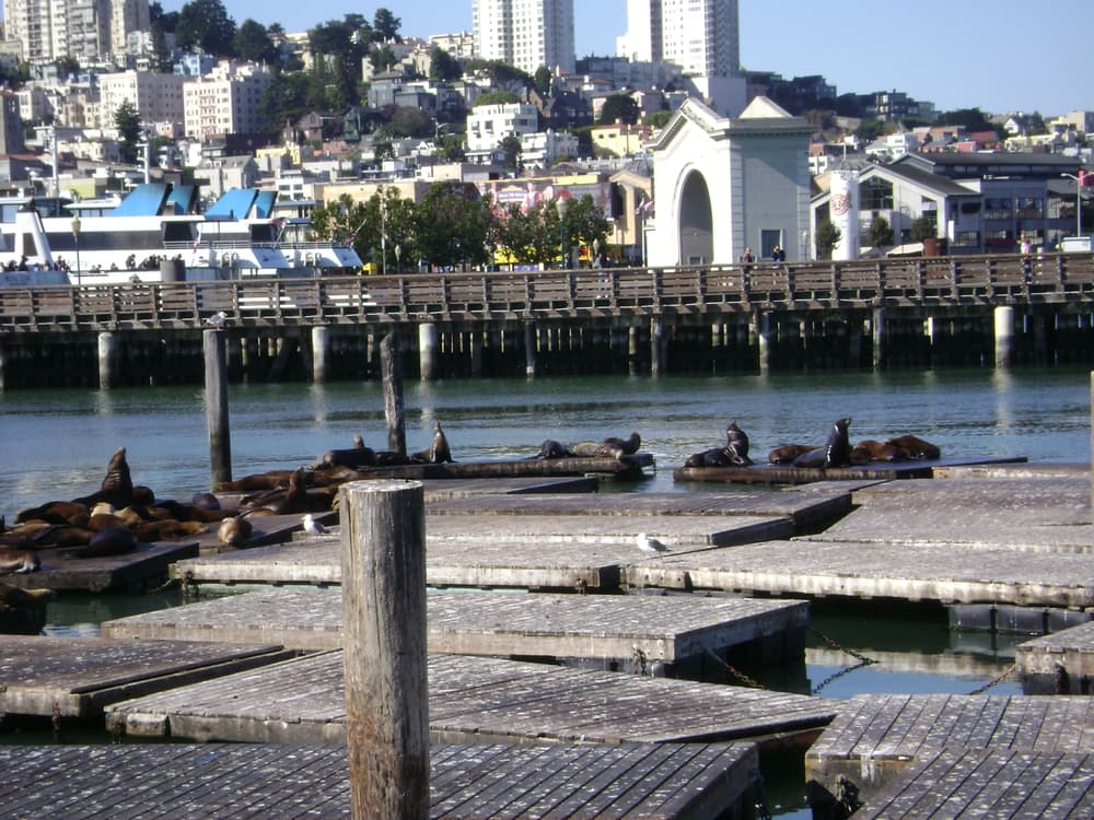 San Francisco