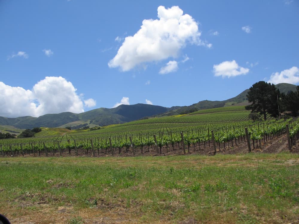 Santa Barbara