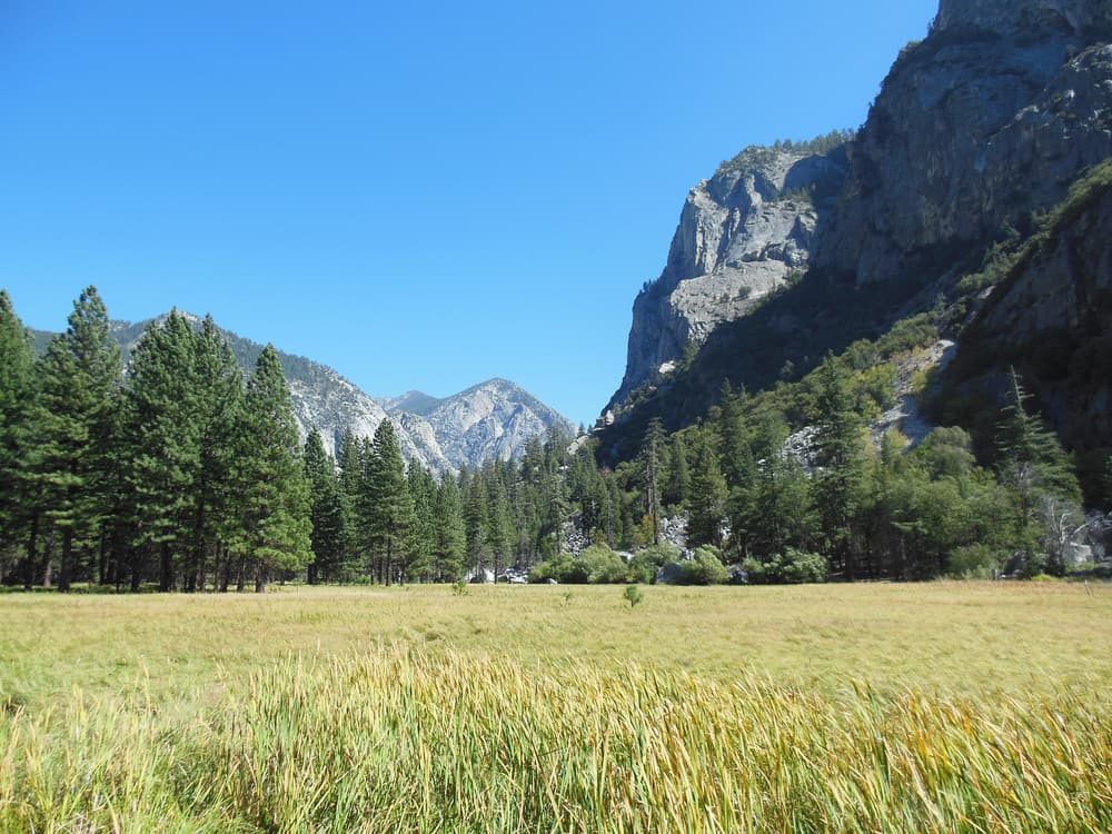 Sequoia & Kings Canyon